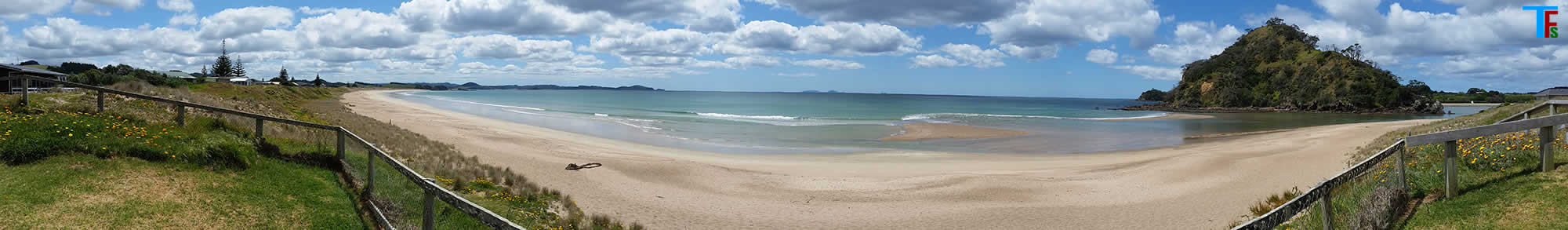 Quickreads heading photo showing a New Zealand beach in a panorama photo