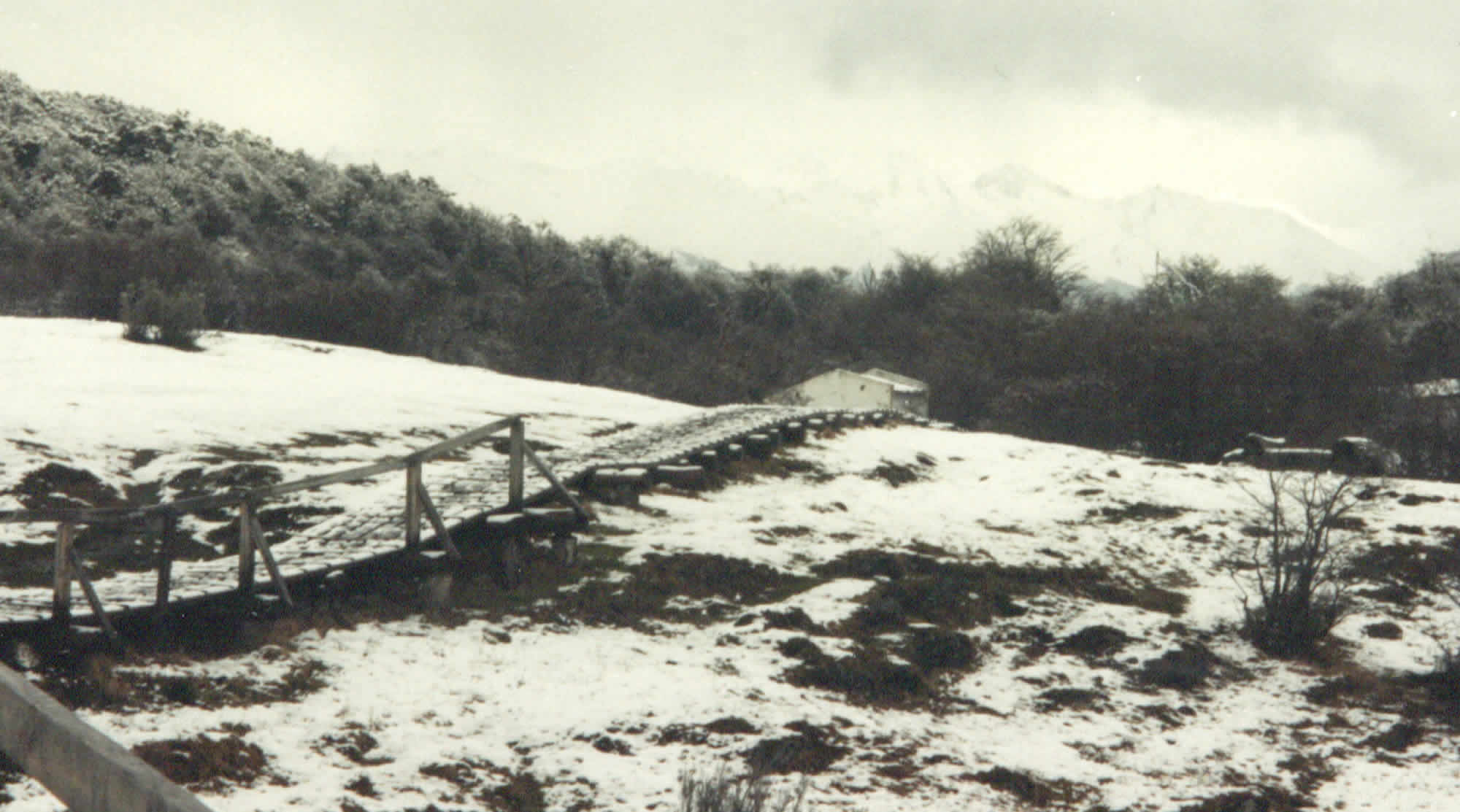 Photo of a wooden walkway through the trees in Lapataia Bay with snow all around, but to where?