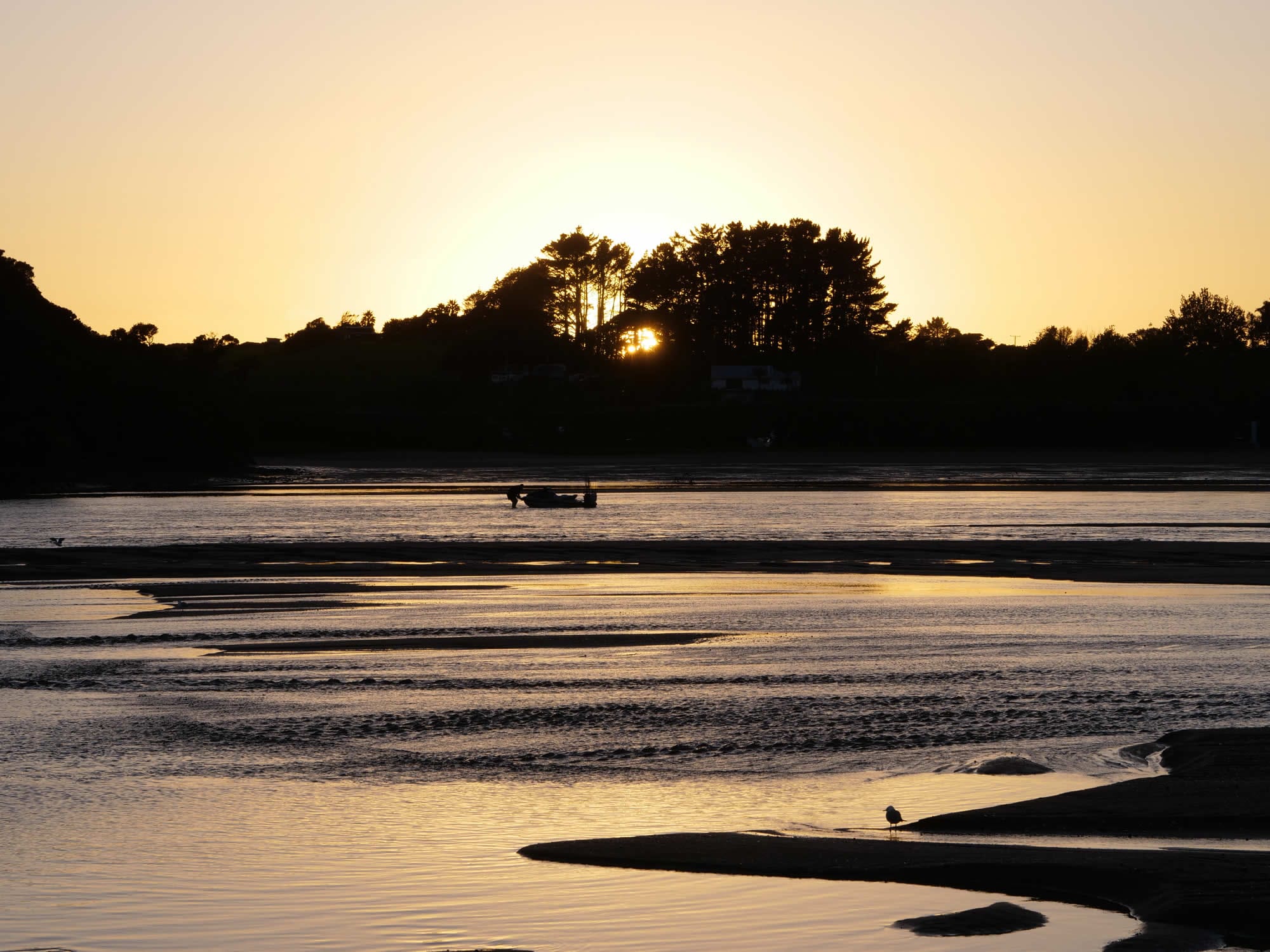 Photo of sunrise Pataua river 6:19:48 am Jan 1st 2024, Northland, New Zealand