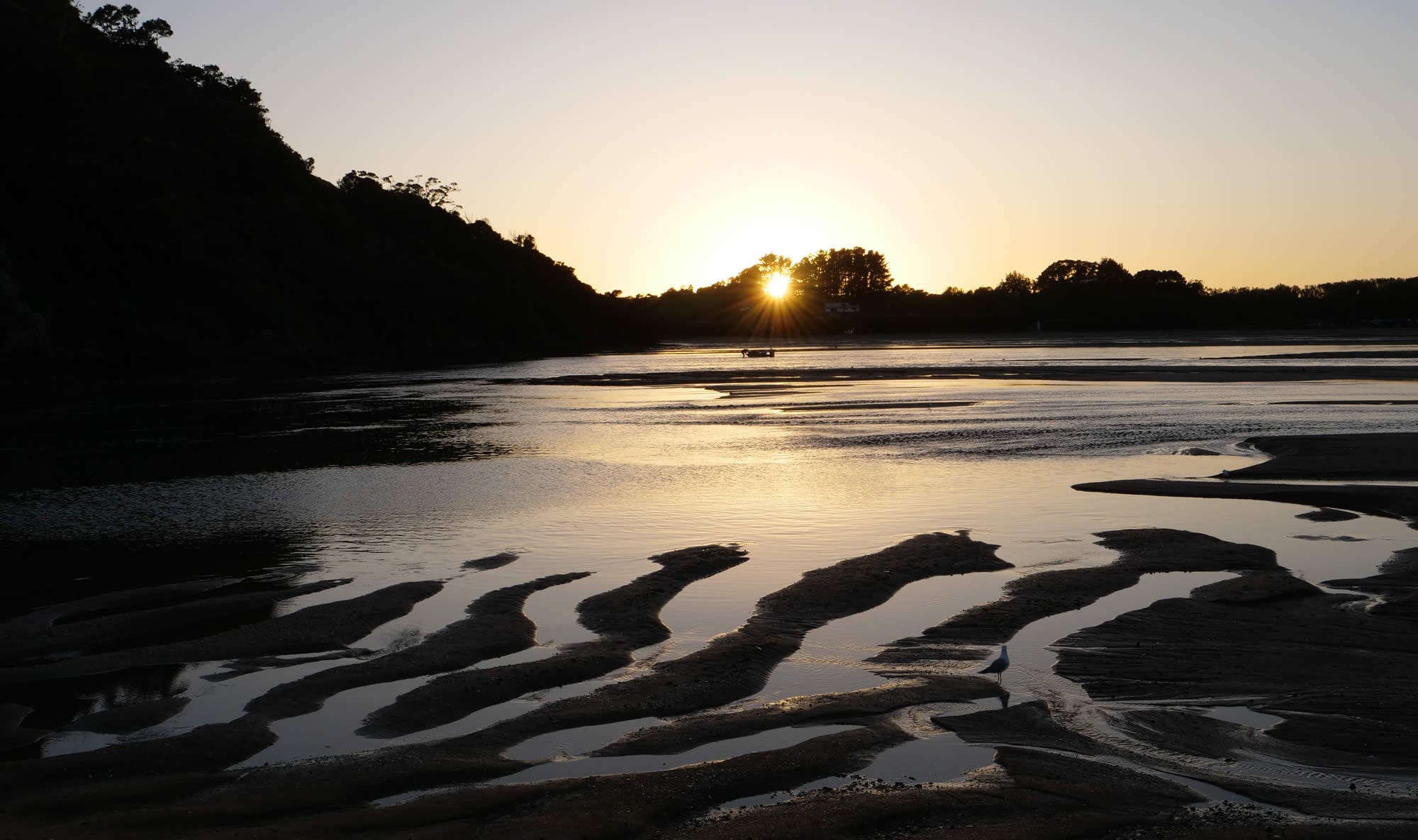 Photo of a brand new day Pataua river 6:24:18 am Jan 1st 2024, Northland, New Zealand